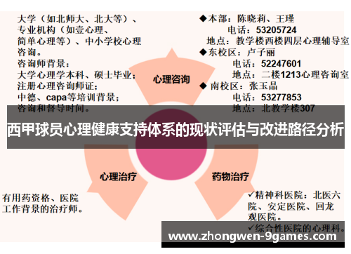 西甲球员心理健康支持体系的现状评估与改进路径分析 西甲球员心理健康支持体系的现状评估与改进路径分析
