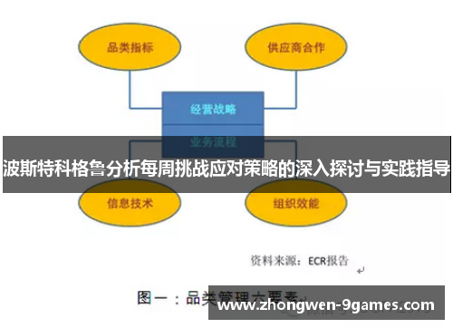 波斯特科格鲁分析每周挑战应对策略的深入探讨与实践指导